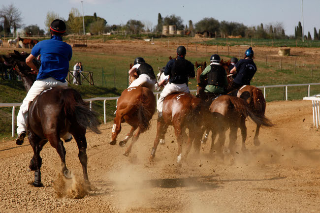 Palio di Siena: Nuovo programma di addestramento dei Cavalli da Palio