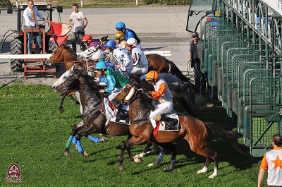 Ippica, Firenze: 02/11 Partenti 2^ e 6^ Corsa per cavalli Anglo-Arabi