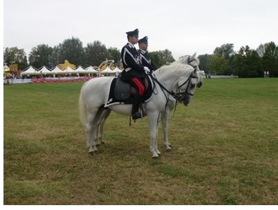 Palio di Ferrara: Carabinieri a cavallo per il&nbsp;Palio