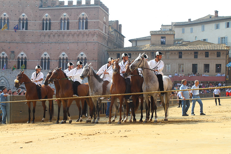 Palio di Siena: i cavalli ammessi alla tratta del 29 Giugno 2018