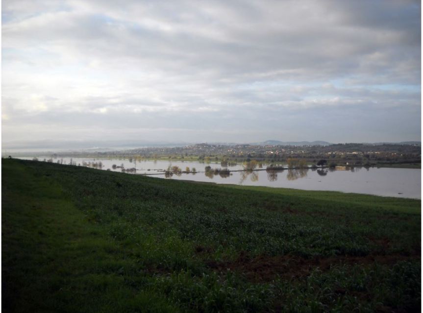 Castiglion Fiorentino e le Sue Bellezze: “La&nbsp;Padule”