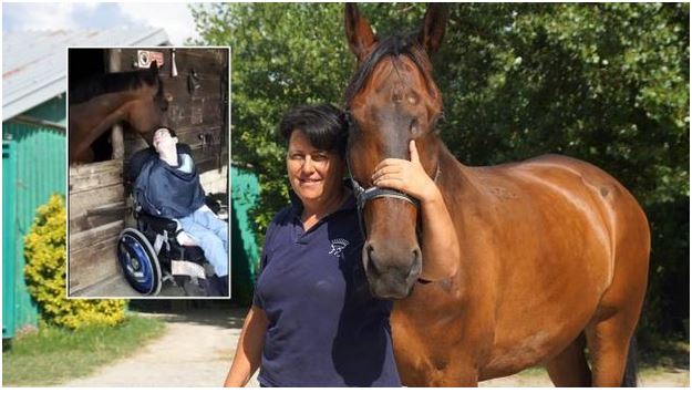 Toscana, Pisa: Un cavallo per affrontare la malattia. Così il ‘dottor’ Jambo aiuta&nbsp;Simone