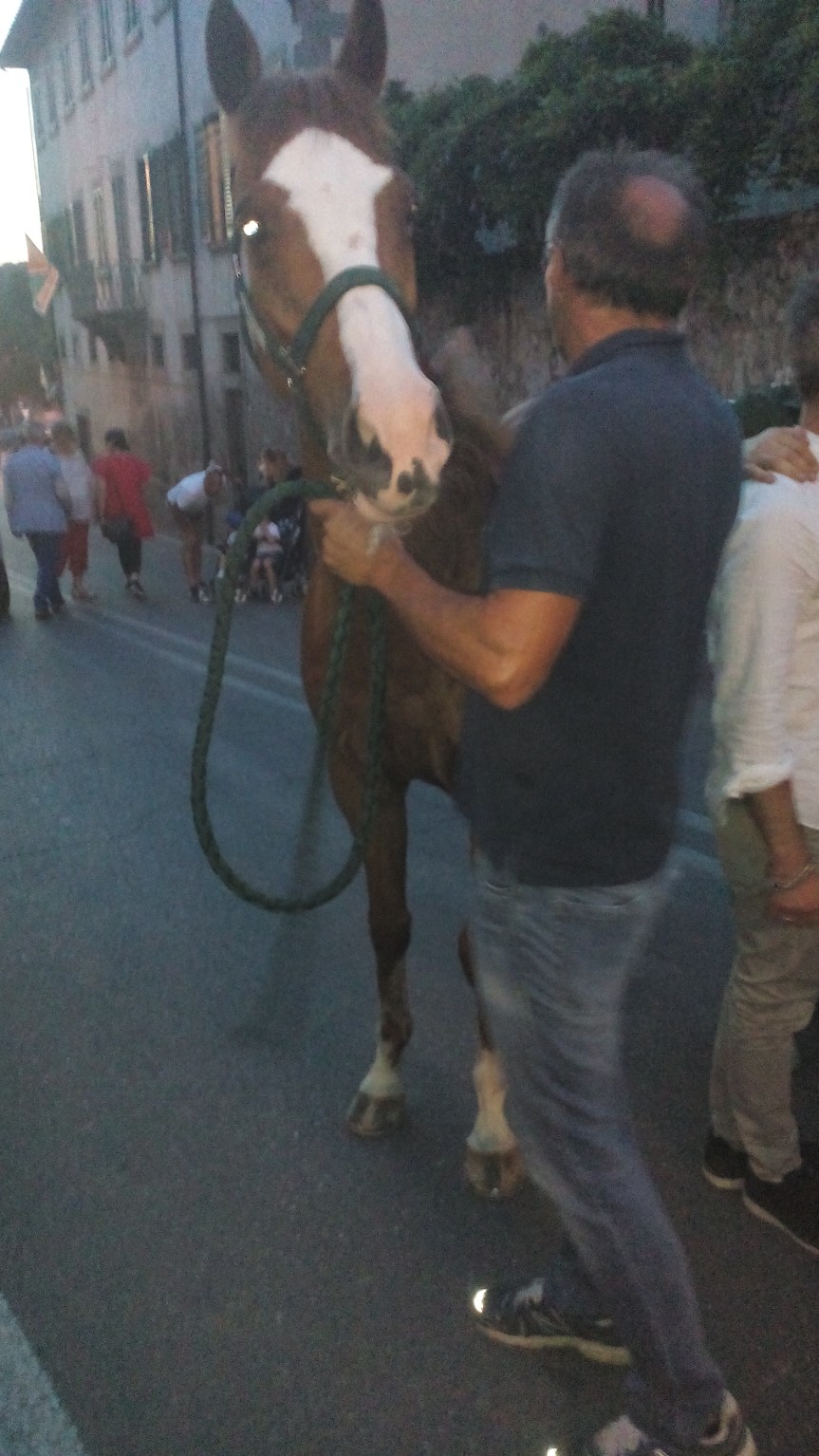 Palio di Buti: Sembra che la Contrada San Rocco come cavallo abbia virato su Qui Pro&nbsp;Quo