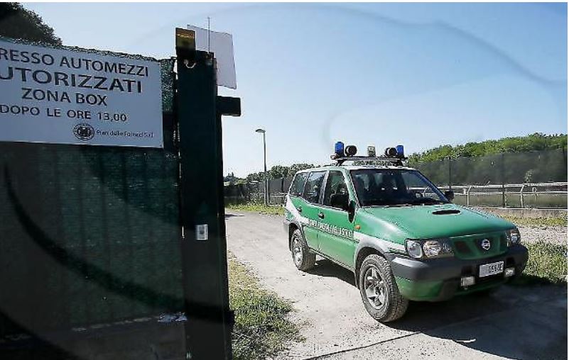 Palio di Siena, Processo cavalli scambiati, le difese: “Animalisti e Comune non possono stare in&nbsp;giudizio”