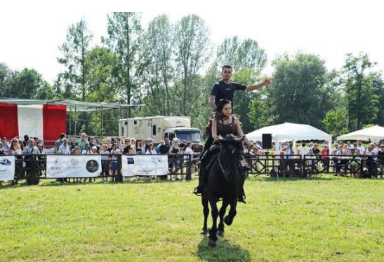 Palio di Legnano, Contrada San Magno: Resoconto 28^esima “Festa del&nbsp;Cavallo”