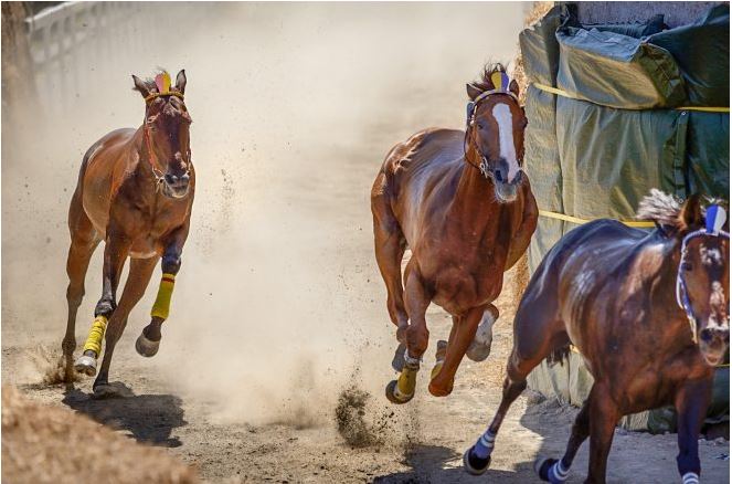 Palio di Ronciglione: Corse a vuoto Ronciglione 2017 – Le&nbsp;finali