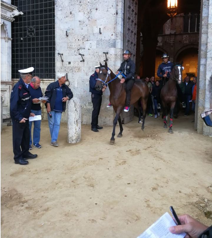 Palio di Siena: Prove di notte da Palazzo&nbsp;pubblico