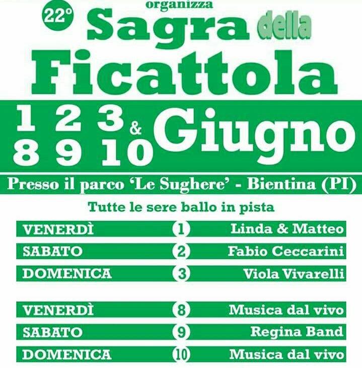 palio di Bientina, Contrada Puntone: 8-9-10/06 “Sagra delle Ficattole”