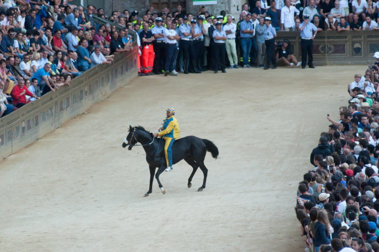palio di Siena, Storia: Il Cavallo&nbsp;Martino