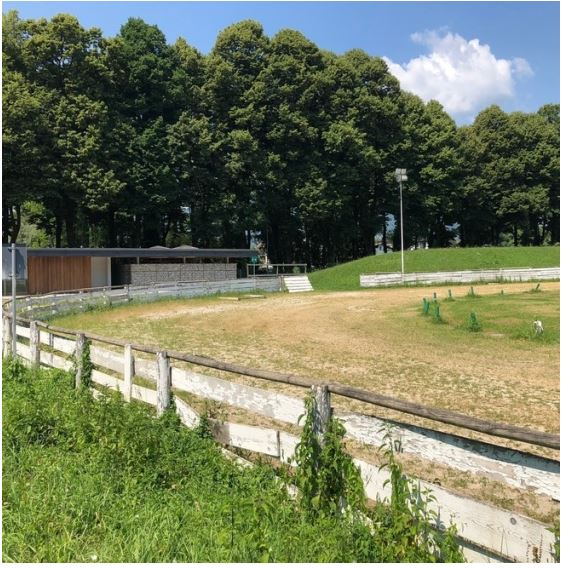 Palio di Feltre: Lavori in partenza sulla pista di Pra’ del&nbsp;Moro