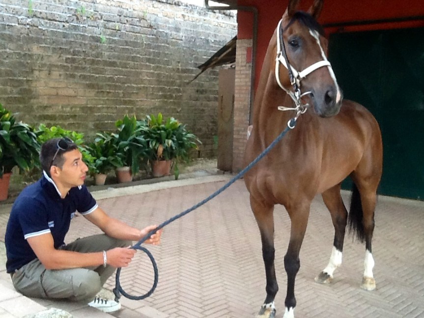 Palio di Bientina, Contrada Viarella, Bomba Clamorosa: Scende Dino Pes monterà Jacopo&nbsp;Pacini