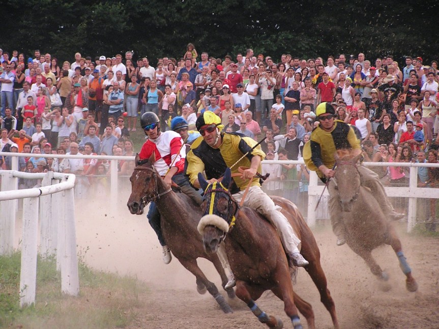 Palio di Feltre: Nozioni sulla città di&nbsp;Feltre