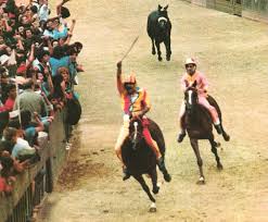 Palio di Siena: Panezio, il grande cavallo del Palio di Siena “che sapeva leggere e&nbsp;scrivere”