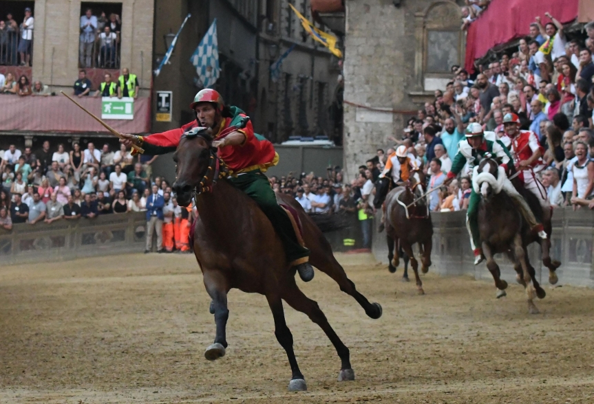 Palio di Siena: Venerdì 21 la consegna del Premio Celli, Rocco Nice cavallo dell’anno