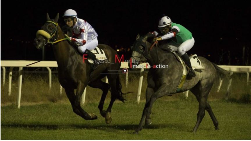 Ippica, Sassari: Arturo Lai e Morcote protagonisti nella prima Tris all’ippodromo&nbsp;Pinna