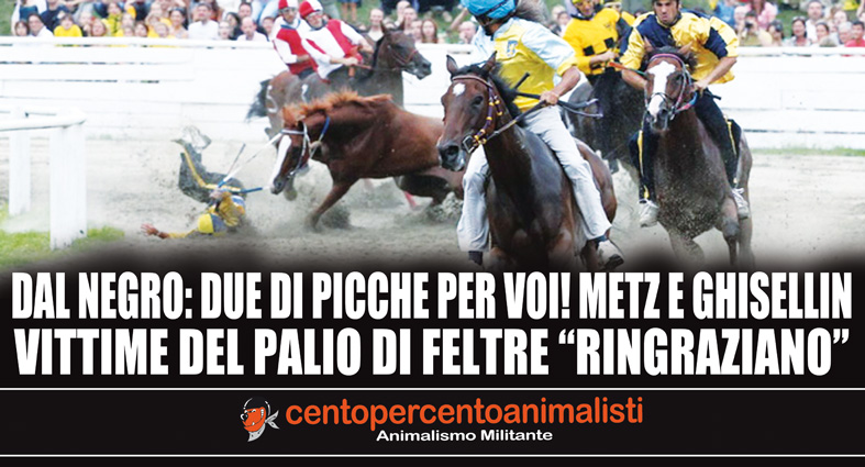 Palio di Feltre: Blitz alla “Dal Negro” a Carbonera (Treviso) – supporta il palio dei cavalli di&nbsp;Feltre