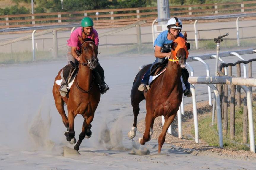 Ippica, Follonica: Test ministeriale probabilmente effettuato Giovedì&nbsp;19/07