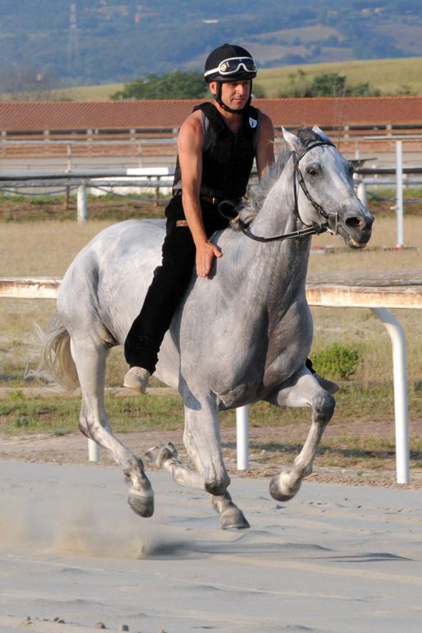 Ippica, Follonica: 19/07 Arrivano gli ingegneri alla pista per il galoppo per la prova&nbsp;decisiva