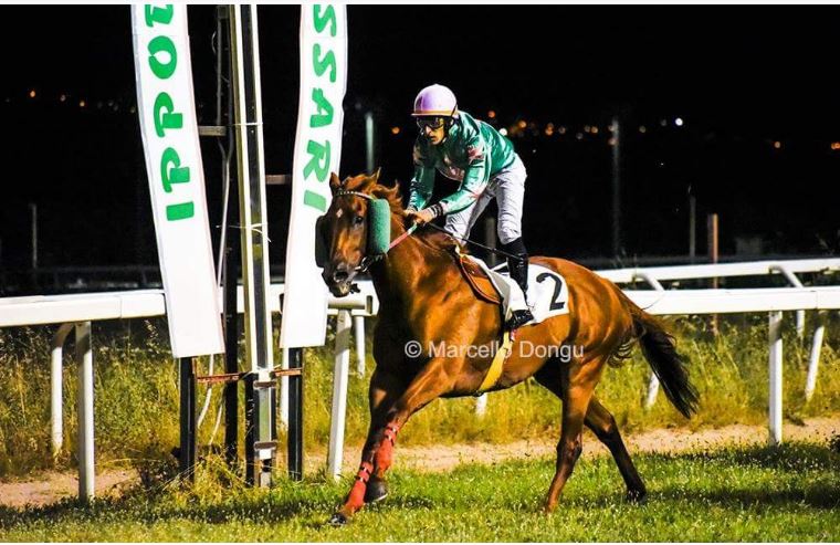 Ippica, Sassari: La quarta giornata si tinge di rosa con il “B.B.A&nbsp;Italia”