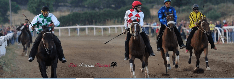 Palio di Fonni: Trionfa per la prima volta il comune di Bono con il fantino Gian Luca Fais, negli A.A.S torna al successo No Mi&nbsp;Tocchese