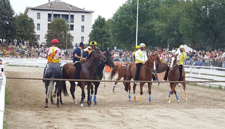 Palio di Feltre: La Corsa dei&nbsp;cavalli