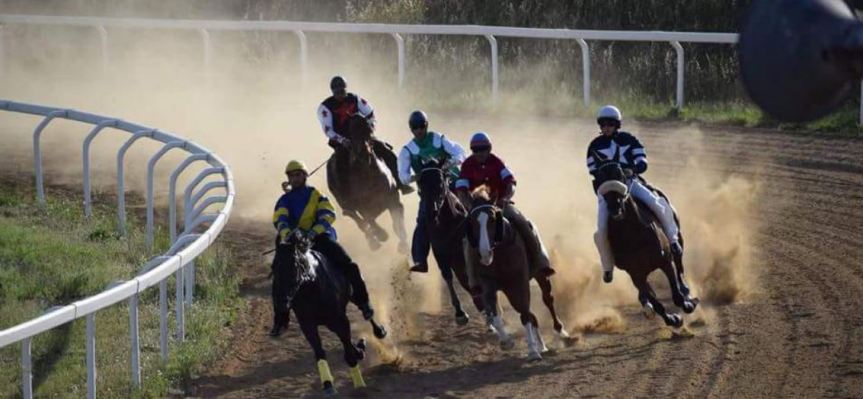 Palio di Guasila: Il Palio va al Comune di Ottana e Peppe Ortu, al termine di una corsa scintillante. Il “Paliotto” lo vince Sandro&nbsp;Gessa