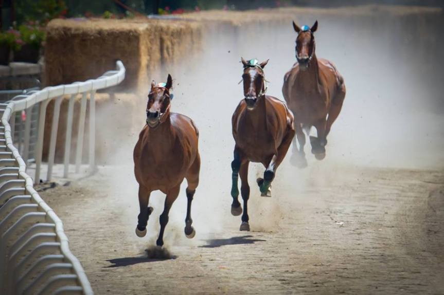 Palio di Ronciglione: Oggi 23/08 Cerimonia passaggio consegne ai Capitani e Investitura&nbsp;Lascini