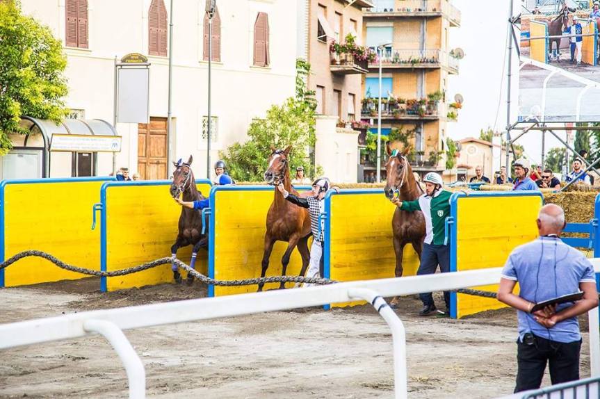 Palio di Ronciglione: I Rioni hanno scelto i Cavalli per le Corse a&nbsp;Vuoto