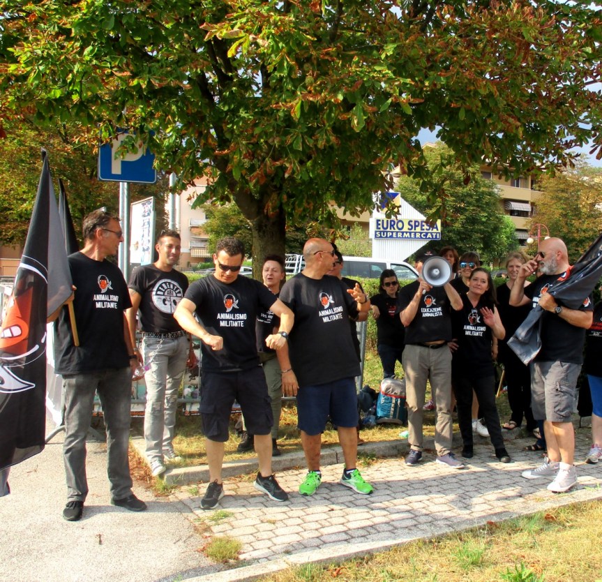 Palio di Feltre: Resoconto presidio vs il palio dei Cavalli di&nbsp;Feltre