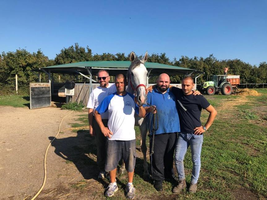 Palio di Ronciglione: Arrivata la cavalla Tonina al Rione Madonna di&nbsp;Loreto