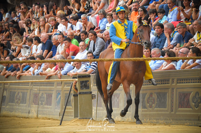 Palio di Siena: La scheda del Palio del&nbsp;16/08/1914