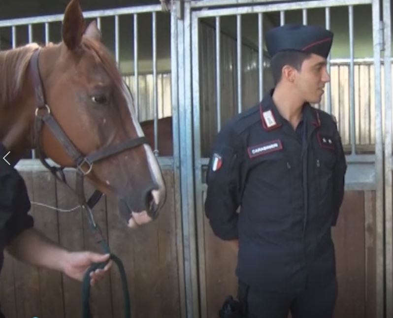 Palio di Siena: Il tenente Cataldo racconta l’emozione del Drappello dei Carabinieri a&nbsp;cavallo