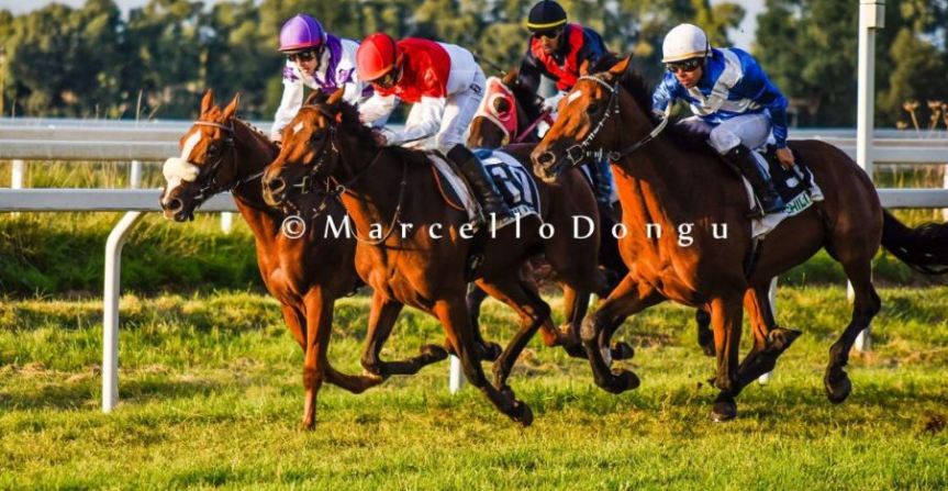 Ippica, Chilivani: Quante cose dietro la vittoria di Zizzula&nbsp;Sarulesa……