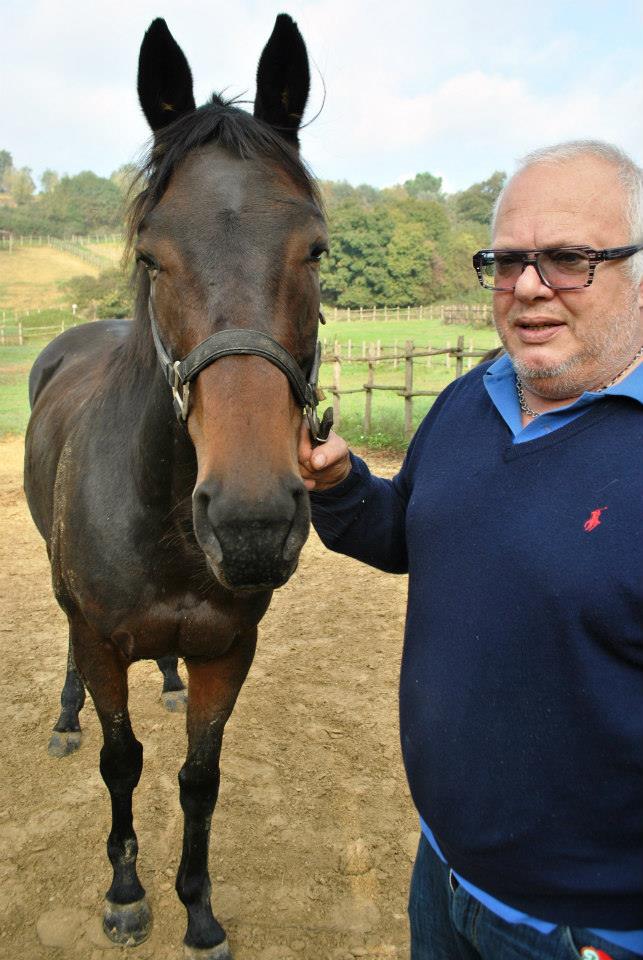 Palio di Siena, Palio Straordinario, Brogi: “Porto Alabe sarà presente allo Straordinario. Sta bene e intanto mangia tante&nbsp;caramelle…”