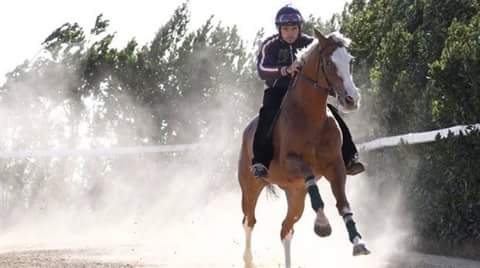 Palio di Siena, Palio Straordinario: Alcune foto dei lavori a&nbsp;Mociano