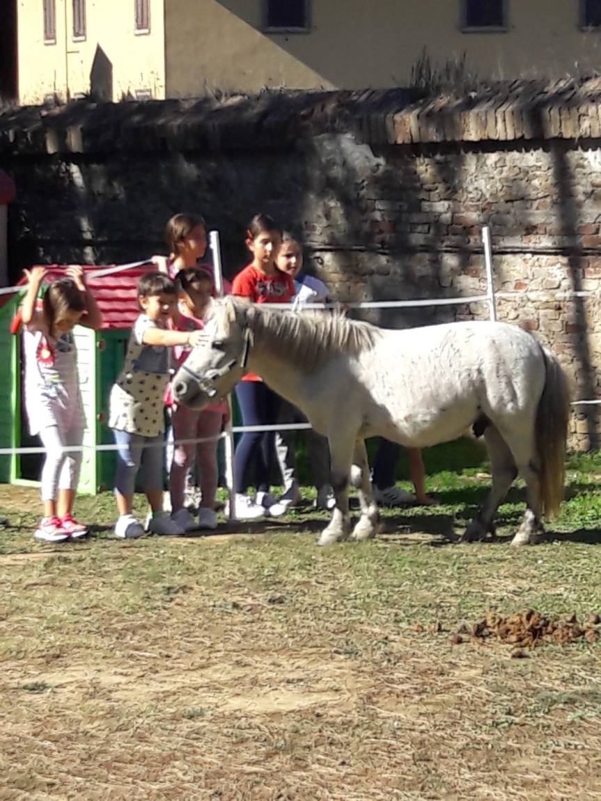 Siena, Contrada del Bruco: 29/09 Oggi pomeriggio giochi con i bambini della&nbsp;Chiocciola