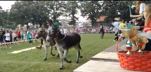 Legnano, Palio di San Paolo: vince l’asino scosso della&nbsp;Ponzella