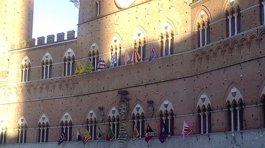 Palio di Siena, Palio Straordinario notizia reale o fake news? : Animalisti insorgono”occuperemo piazza del campo&nbsp;con……”
