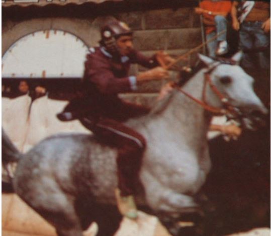 Palio di Siena: la storia paliesca del fantino Renato Porcu detto “Rino”