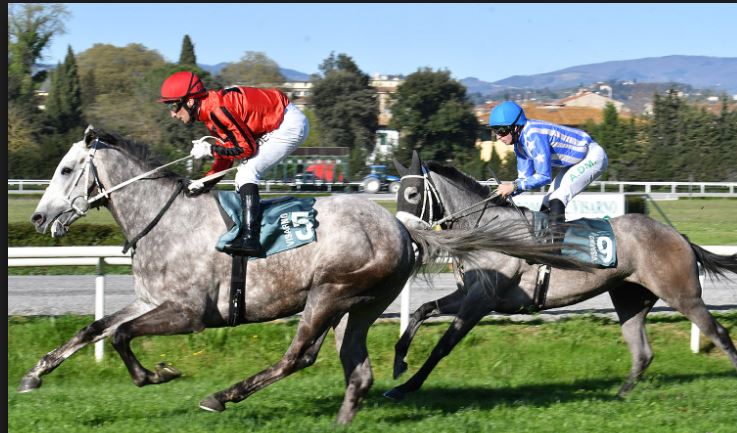 IPPICA: DAL SIAG RICHIESTA DI UNIONE FRA I PROFESSIONISTI INCONTRANDO LE&nbsp;ISTITUZIONI