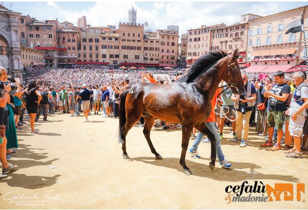 Palio di Siena, Giù le mani dal Palio: Non si distrugge l’identità di un popolo. Di Giuseppe&nbsp;Scialabba