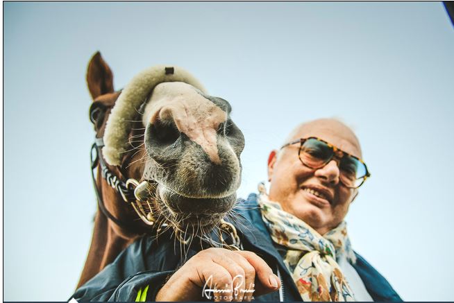 Palio di Siena:  Oggi 23/06 Live dalle Previsite intervista a Fabrizio Brogi proprietario di Porto&nbsp;Alabe