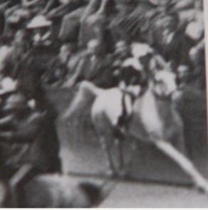Palio di Siena: La storia paliesca del fantino Mario Pieraccini detto “Barberino”