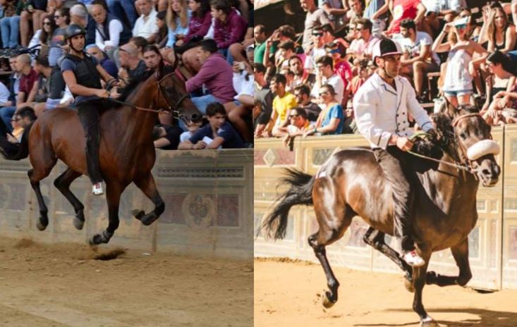 Palio di Siena, Palio Straordinario: Parla Alessandro Congiu sull’esclusione di&nbsp;Questurino