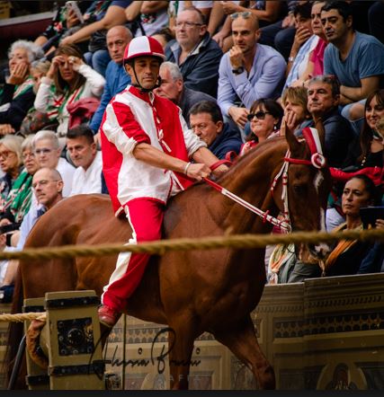 Palio di Siena, Palio Straordinario: Infortunio al cavallo della Contrada della&nbsp;Giraffa