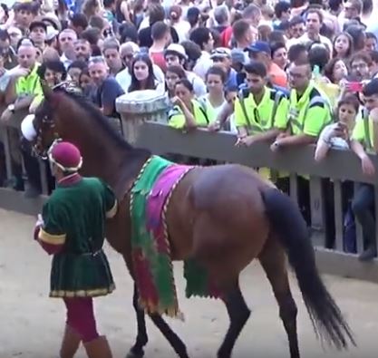 Palio di Siena: Rocco Nice, Palio di Siena 2018 (July), Siena, Tuscany, Italy,&nbsp;Europe