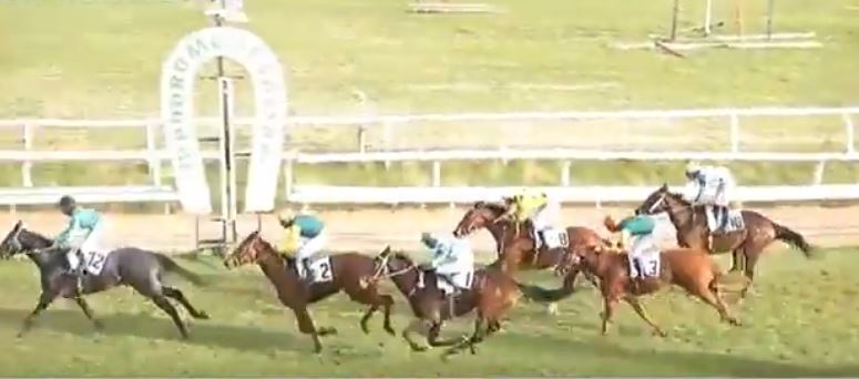 Ippica, Sassari: Thomas di Toni coglie un importante successo con la monta super di Simone&nbsp;Mereu