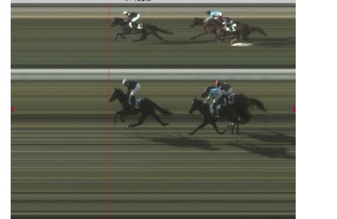 Ippica, Pisa: Oggi 29/11 Risultati 1^ Corsa Vince Pesa&nbsp;Veggia