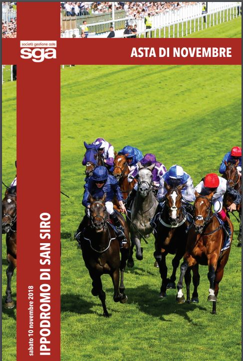 Ippica, Milano: 10/11 Asta Mista cavalli in&nbsp;training