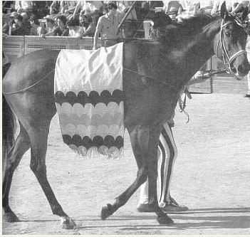 Palio di Siena, I cavalli del Palio:&nbsp;Chartreuse